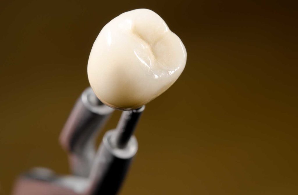 Porcelain dental crown being held with metal tweezers